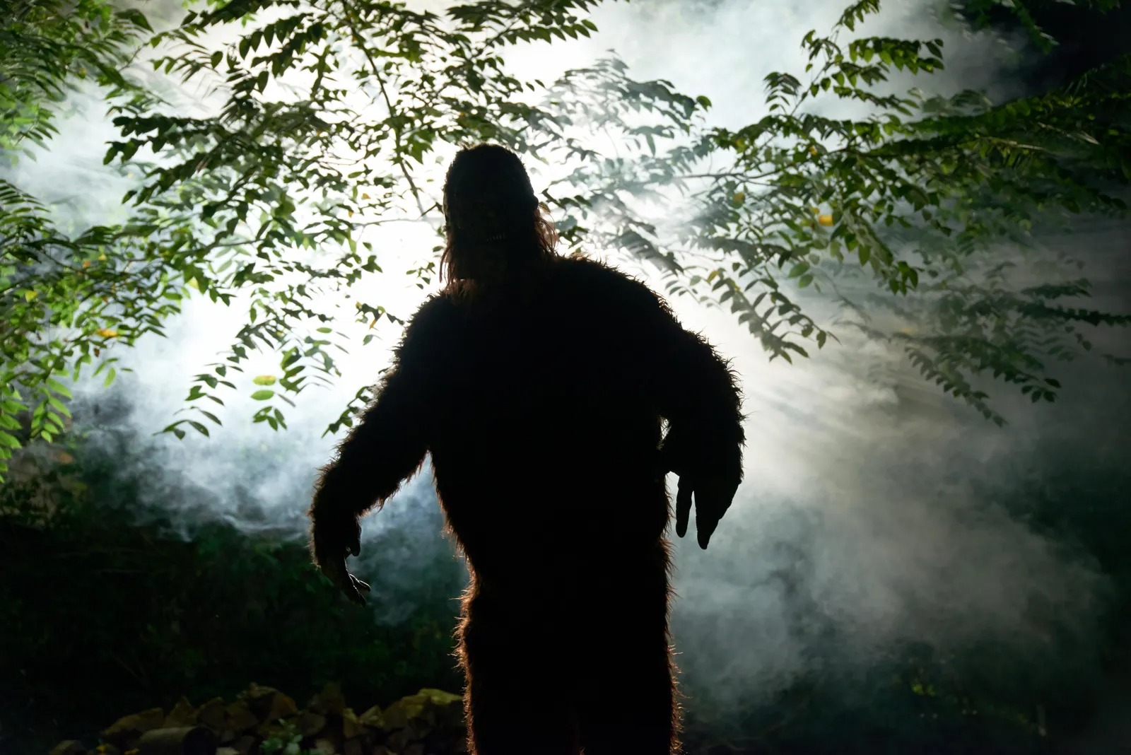 Where Did Bigfoot Originate