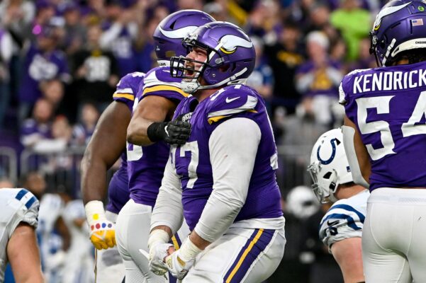 Who Owns the Minnesota Vikings sd