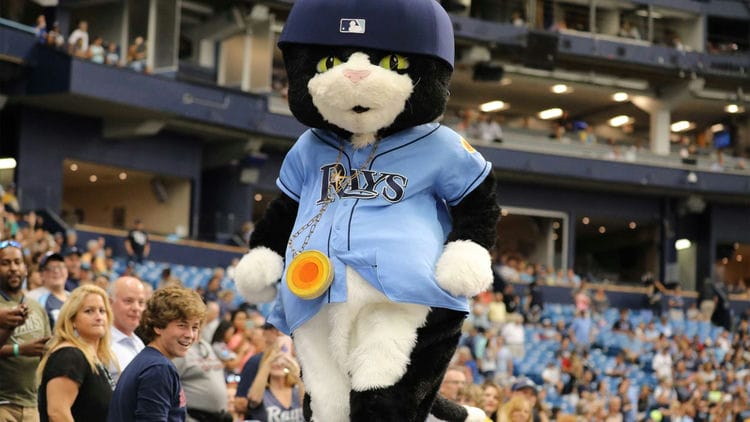 What is the Tampa Bay Rays Mascot sd