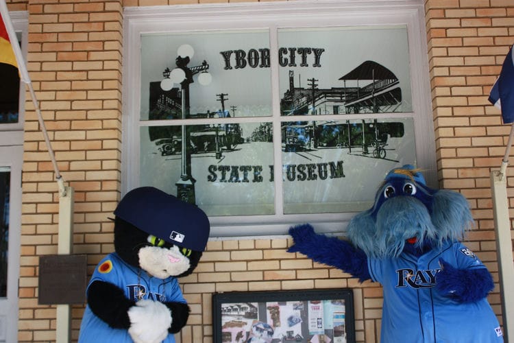 What is the Tampa Bay Rays Mascot sd