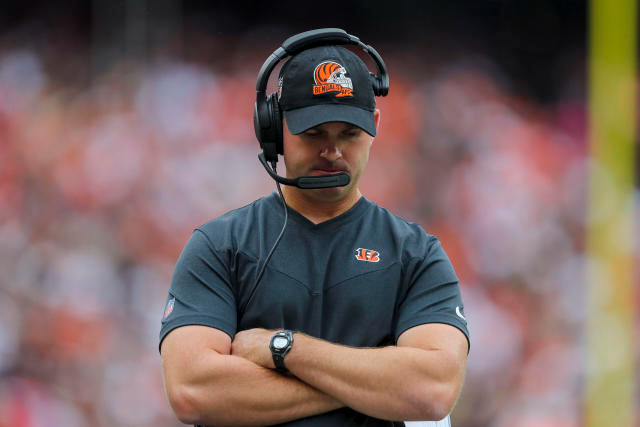 Who is the Coach of the Cincinnati Bengals?