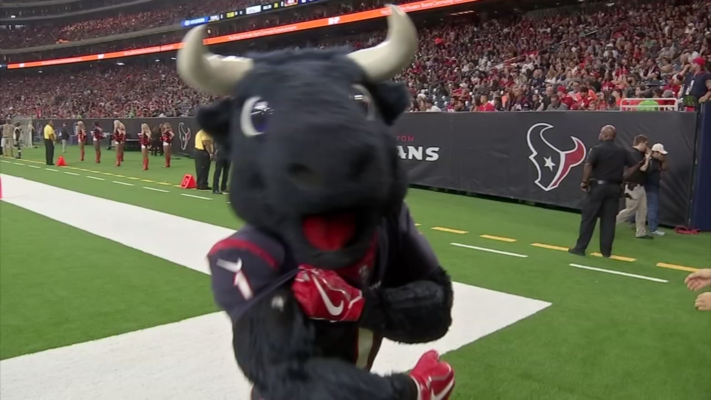 What is the Houston Texans Mascot?