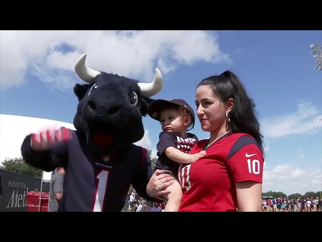 What is the Houston Texans Mascot?