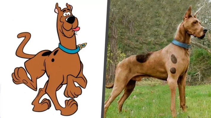 Is Scooby-Doo Disney?