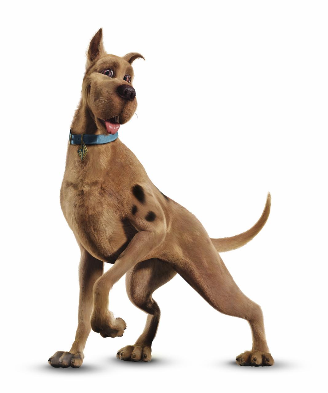 Is Scooby-Doo a Great Dane?